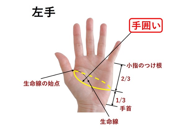 手囲いの測り方の画像イメージ