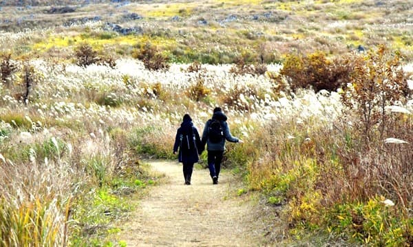 冬季山道を歩くウォーカーカップルの画像イメージ