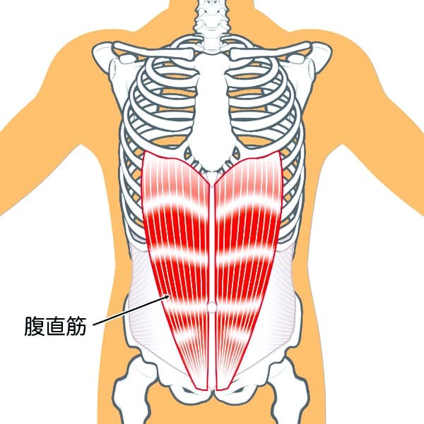 腹筋の画像イメージ