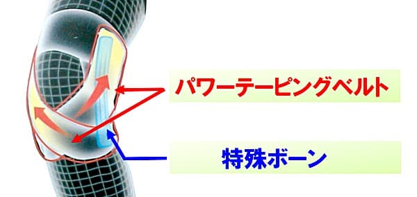 パワーテーピングベルトと特殊ボーンの位置の画像