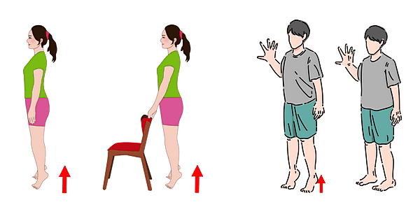 かかと上げ(そのままでも、椅子の背や壁に手を添えてもOK)の画像イメージ